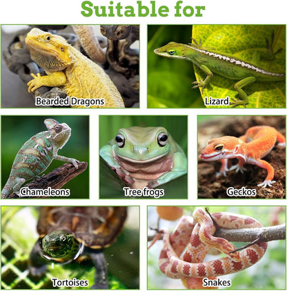 Reptile Plants Sets, Bearded Dragon Hammock, Terrarium Hanging Plant Vines Artificial Leaves, Reptile Habitat Climbing Decorations for Chameleons, Lizards, Geckos, Snakes