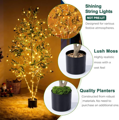 Olive Trees Artificial Indoor, 5FT Tall Faux Olive Tree with Moss and Planter, Artificial Plants Indoor with Realistic Silk Leaves and Lifelike Fruits, Fake Tree for Home Office Living Room Decor