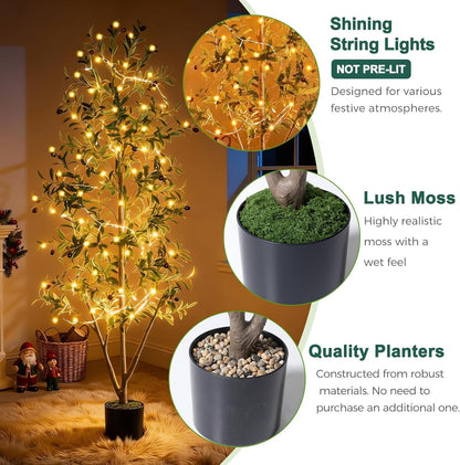 Olive Trees Artificial Indoor, 5FT Tall Faux Olive Tree with Moss and Planter, Artificial Plants Indoor with Realistic Silk Leaves and Lifelike Fruits, Fake Tree for Home Office Living Room Decor