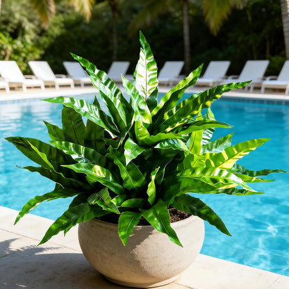 Fake Ferns,Faux Outdoor Plants UV Resistant,3D Real Touch Fake Plants Total 60 Blades,Weatherproof Artificial Plants Outdoor Indoor for Garden Porch Home Office Living Room Decor