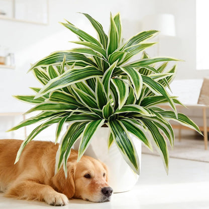 Fake Ferns,Faux Outdoor Plants UV Resistant,3D Real Touch Fake Plants Total 60 Blades,Weatherproof Artificial Plants Outdoor Indoor for Garden Porch Home Office Living Room Decor