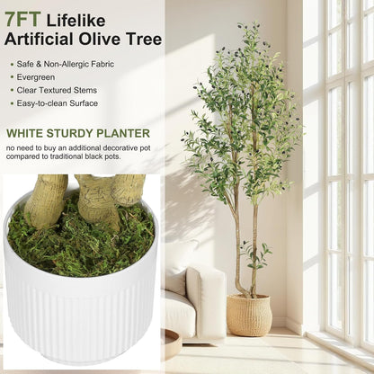6ft Artificial Olive Tree Indoor, Fake Olive Tree with White Pot, Faux Olive Tree with Dense Leaves & Realistic Fruits, Tall Artificial Plant for Home Living Room Office Entryway Decor