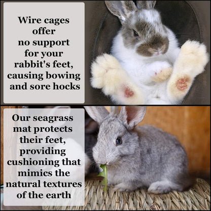 Rabbit Grass Mat, Bunny Cage Accessories, Rabbit Stuff and Supplies, Handmade, Edible Accessory Chew, Keep in Cage or on Floor, 1 pc