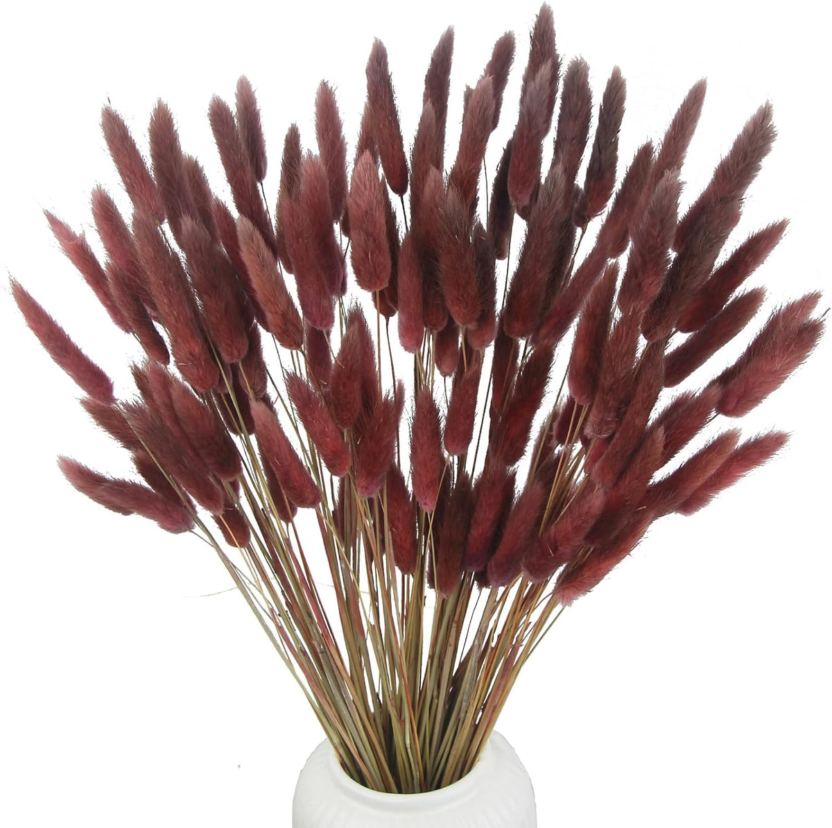120 Pcs Dried Bunny Tails Flower Lagurus Ovatus Natural Dried Flowers Rabbit Tail Grass Dried Pampas Grass Floral Arrangement for Boho Decor Wedding Home DIY Farmhouse Table Dark Brown