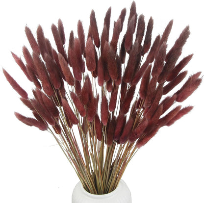 120 Pcs Dried Bunny Tails Flower Lagurus Ovatus Natural Dried Flowers Rabbit Tail Grass Dried Pampas Grass Floral Arrangement for Boho Decor Wedding Home DIY Farmhouse Table Dark Brown
