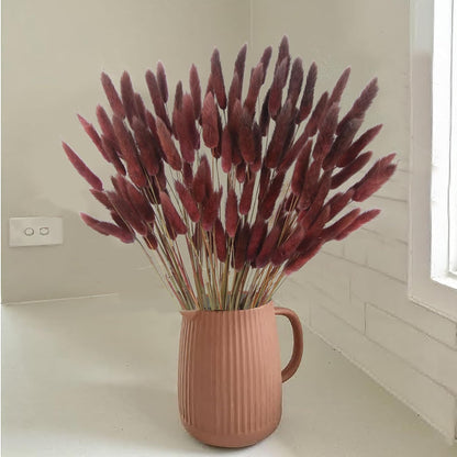 120 Pcs Dried Bunny Tails Flower Lagurus Ovatus Natural Dried Flowers Rabbit Tail Grass Dried Pampas Grass Floral Arrangement for Boho Decor Wedding Home DIY Farmhouse Table Dark Brown