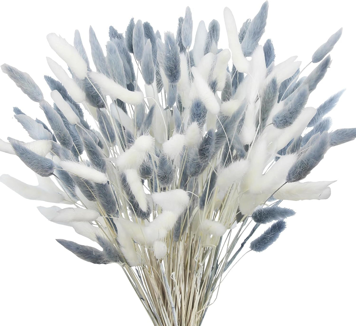 120 Pcs Dried Bunny Tails Flower Lagurus Ovatus Natural Dried Flowers Rabbit Tail Grass Dried Pampas Grass Floral Arrangement for Boho Decor Wedding Home DIY Farmhouse Table Dark Brown