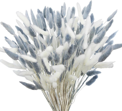 120 Pcs Dried Bunny Tails Flower Lagurus Ovatus Natural Dried Flowers Rabbit Tail Grass Dried Pampas Grass Floral Arrangement for Boho Decor Wedding Home DIY Farmhouse Table Dark Brown