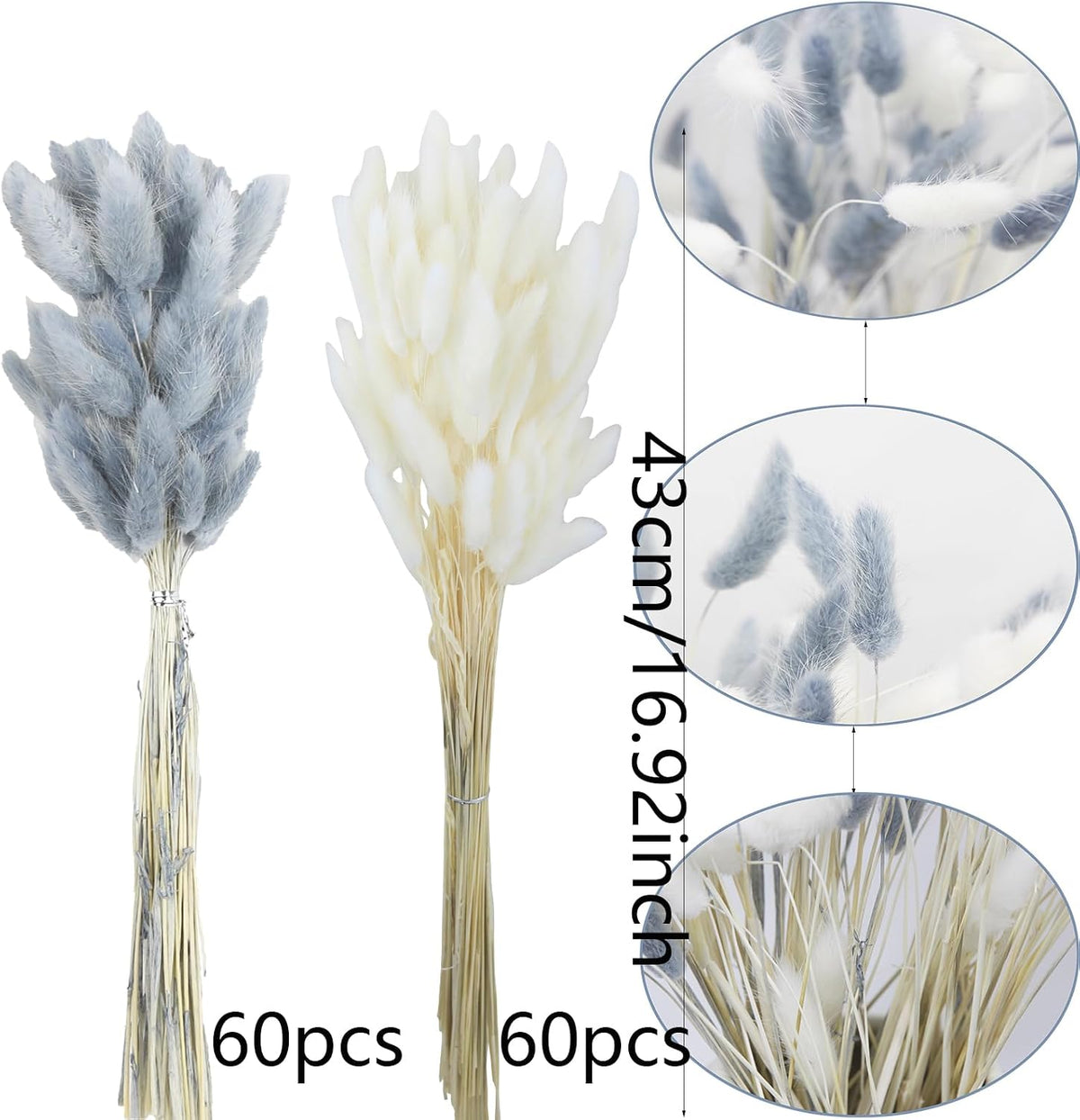 120 Pcs Dried Bunny Tails Flower Lagurus Ovatus Natural Dried Flowers Rabbit Tail Grass Dried Pampas Grass Floral Arrangement for Boho Decor Wedding Home DIY Farmhouse Table Dark Brown