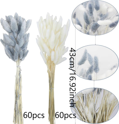 120 Pcs Dried Bunny Tails Flower Lagurus Ovatus Natural Dried Flowers Rabbit Tail Grass Dried Pampas Grass Floral Arrangement for Boho Decor Wedding Home DIY Farmhouse Table Dark Brown