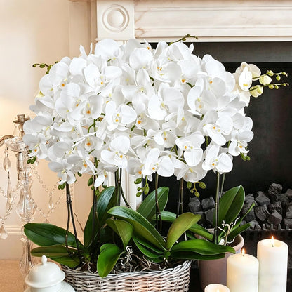 Orchids Artificial Flowers with Ceramic Planter, Poted Plant, White, 17" | Fake Orchid Plant, Real Touch, Faux Orchid Floral Arrangement, For Tables Centerpieces Wedding Bathroom Office Kitchen Decor