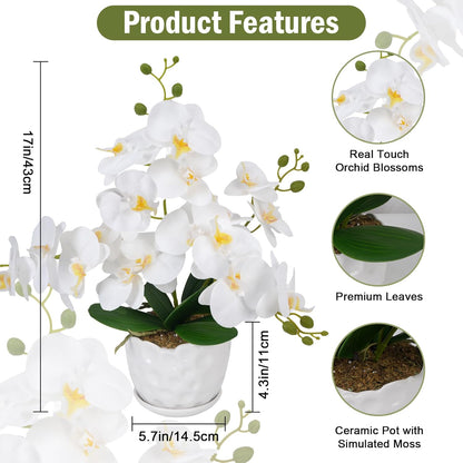 Orchids Artificial Flowers with Ceramic Planter, Poted Plant, White, 17" | Fake Orchid Plant, Real Touch, Faux Orchid Floral Arrangement, For Tables Centerpieces Wedding Bathroom Office Kitchen Decor