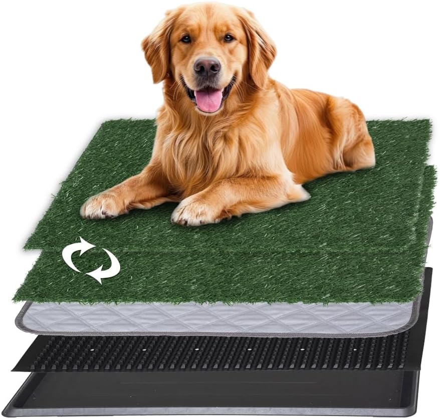 Reusable Pet Grass Potty w/ 2-Pack Replaceable Artificial Grass Quick Absorbent Indoor Portable Pet Training Patio Potty Washable Pee Pad Box Toliet (Medium-20x25In)