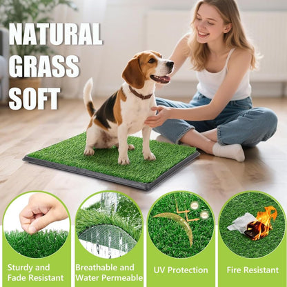 Reusable Pet Grass Potty w/ 2-Pack Replaceable Artificial Grass Quick Absorbent Indoor Portable Pet Training Patio Potty Washable Pee Pad Box Toliet (Medium-20x25In)