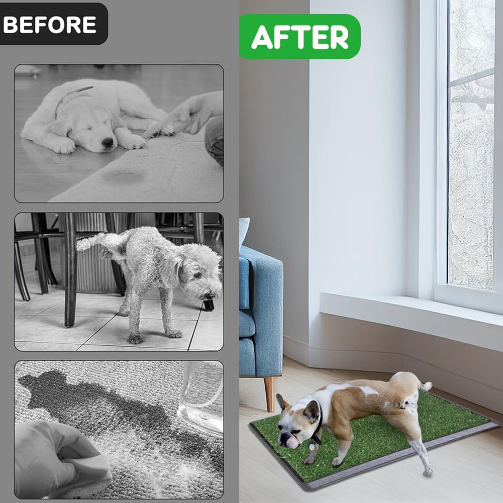 Reusable Pet Grass Potty w/ 2-Pack Replaceable Artificial Grass Quick Absorbent Indoor Portable Pet Training Patio Potty Washable Pee Pad Box Toliet (Medium-20x25In)