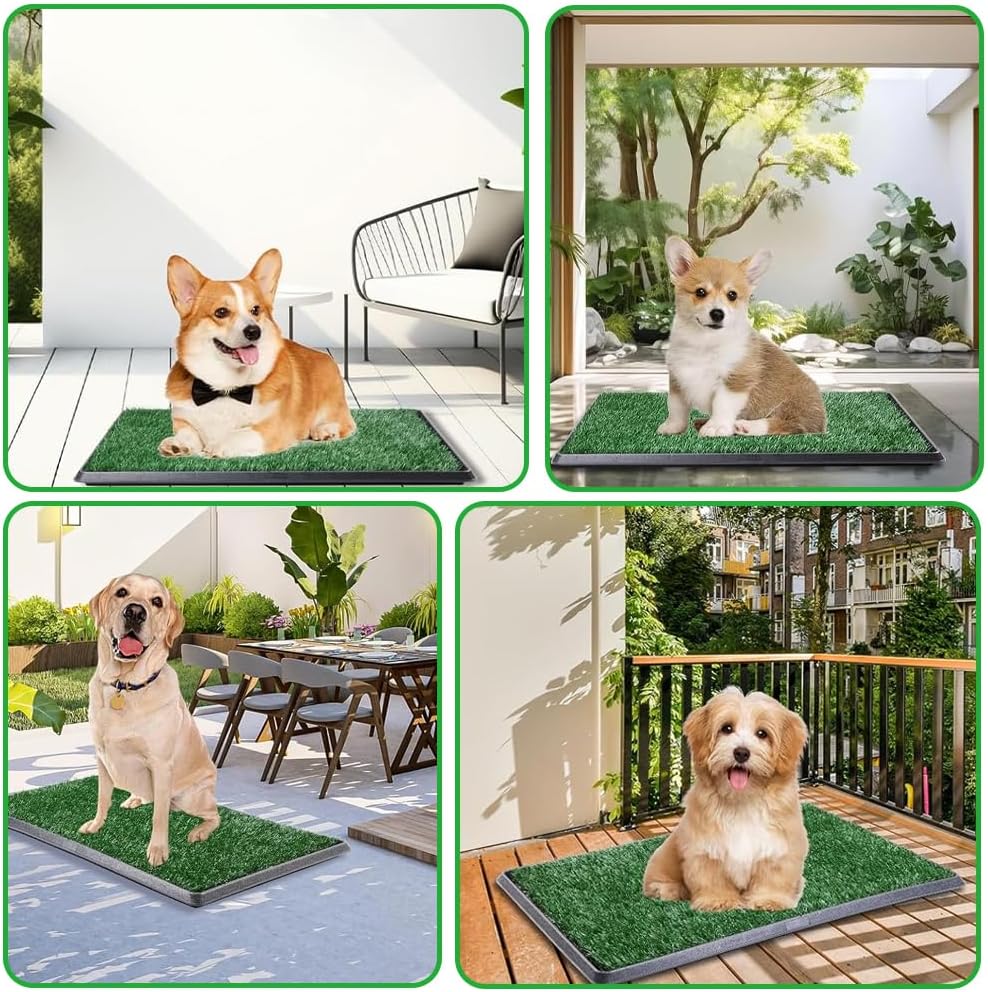 Reusable Pet Grass Potty w/ 2-Pack Replaceable Artificial Grass Quick Absorbent Indoor Portable Pet Training Patio Potty Washable Pee Pad Box Toliet (Medium-20x25In)