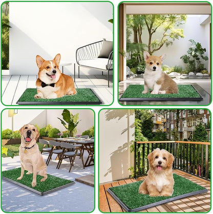 Reusable Pet Grass Potty w/ 2-Pack Replaceable Artificial Grass Quick Absorbent Indoor Portable Pet Training Patio Potty Washable Pee Pad Box Toliet (Medium-20x25In)