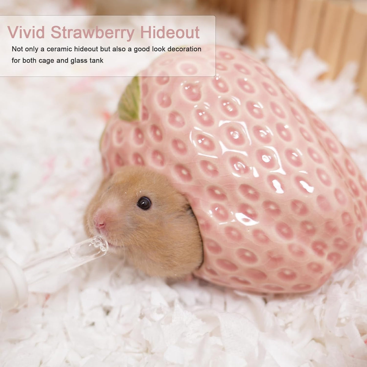 Ceramic Hamster Hideout Strawberry Chew Proof Syrian Hide Cool Bed