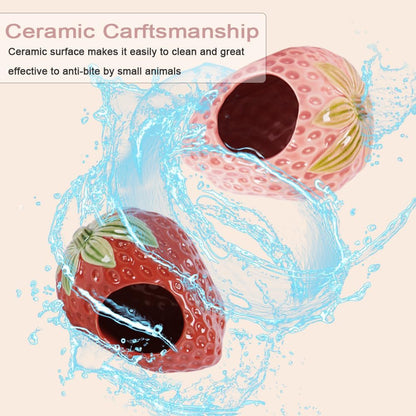 Ceramic Hamster Hideout Strawberry Chew Proof Syrian Hide Cool Bed