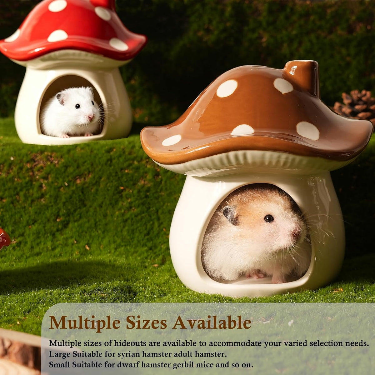 Ceramic Hamster Hideout Strawberry Chew Proof Syrian Hide Cool Bed