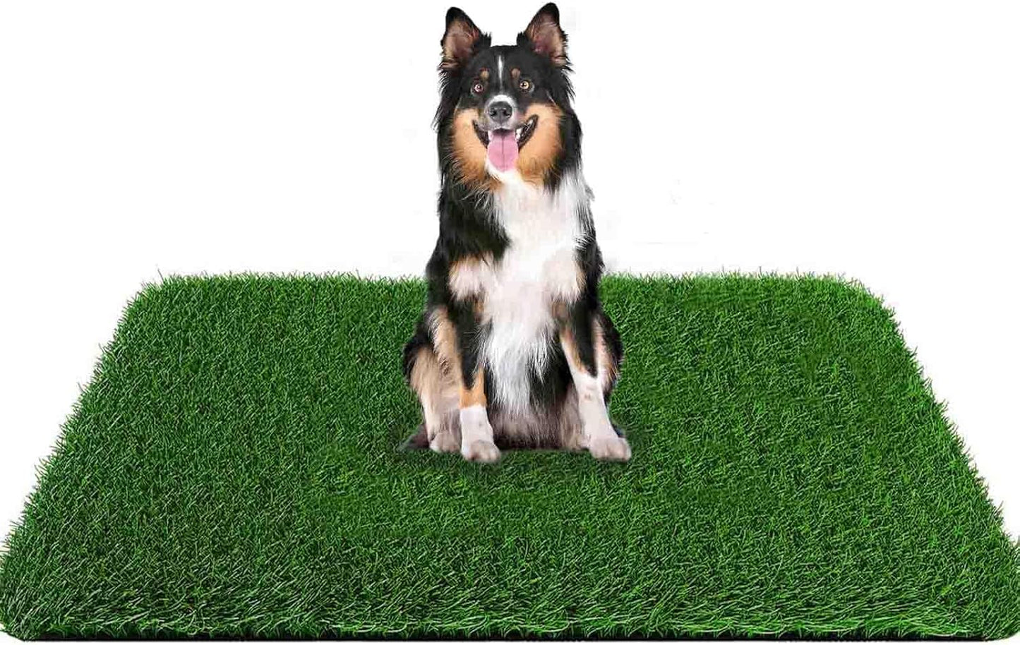 Grass Pad for Dogs 39.3 x 31.5 Inches Fast-Drain Artificial Grass for Pets Potty Training, Easy to Clean Fake Grass for Dog Indoor Outdoor Use(1 Pack)