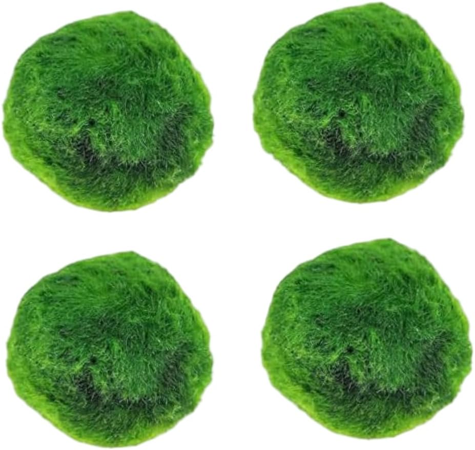 Plantas Naturales, 4-Pack Live Marimo Moss Balls, 2.7-2.9cm After Soaking - Natural Aquarium Plants for Fish Tank Decor & Ecological Bottles, Marimo Planta Viva