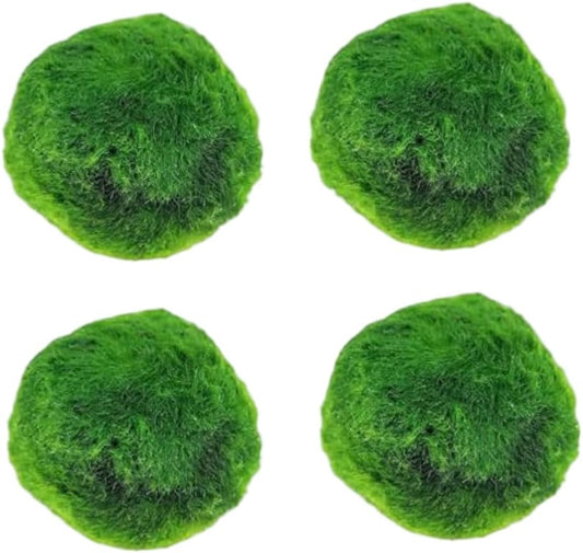 Plantas Naturales, 4-Pack Live Marimo Moss Balls, 2.7-2.9cm After Soaking - Natural Aquarium Plants for Fish Tank Decor & Ecological Bottles, Marimo Planta Viva