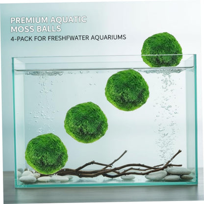 Plantas Naturales, 4-Pack Live Marimo Moss Balls, 2.7-2.9cm After Soaking - Natural Aquarium Plants for Fish Tank Decor & Ecological Bottles, Marimo Planta Viva