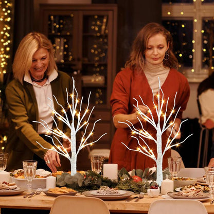 Home Decor, 2FT Birch Tree with LED Lights, Warm White Light up Tree Lamp, Artificial Trees for Home Table Inside, Battery Powered, Timer (2PK)