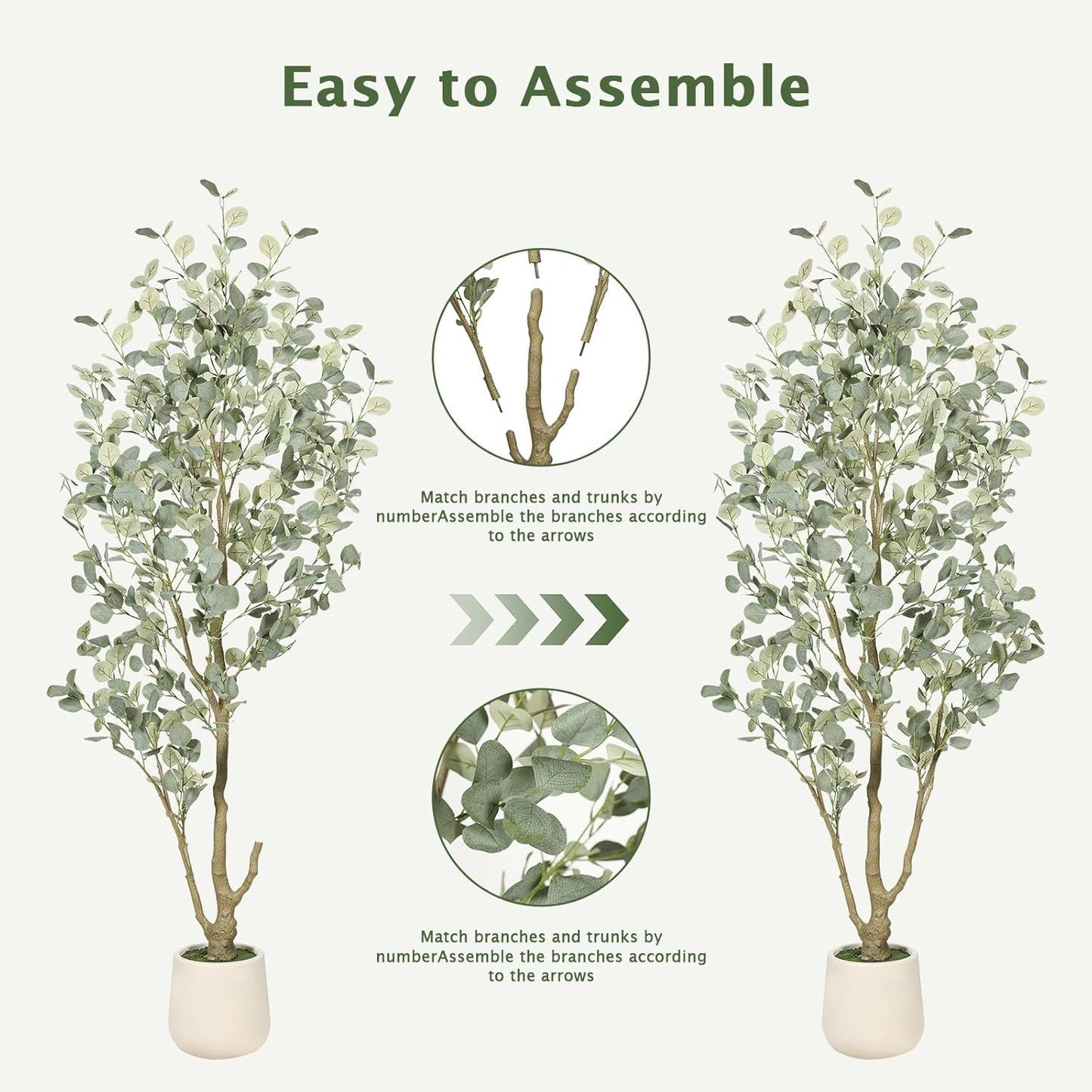 6FT Faux Eucalyptus Tree with White Exquisite Planter | Eucalyptus Trees Artificial Indoor with Silver Dollar Leaves, Natural Trunk - Tall Faux Plants for Home Office Entryway Decor