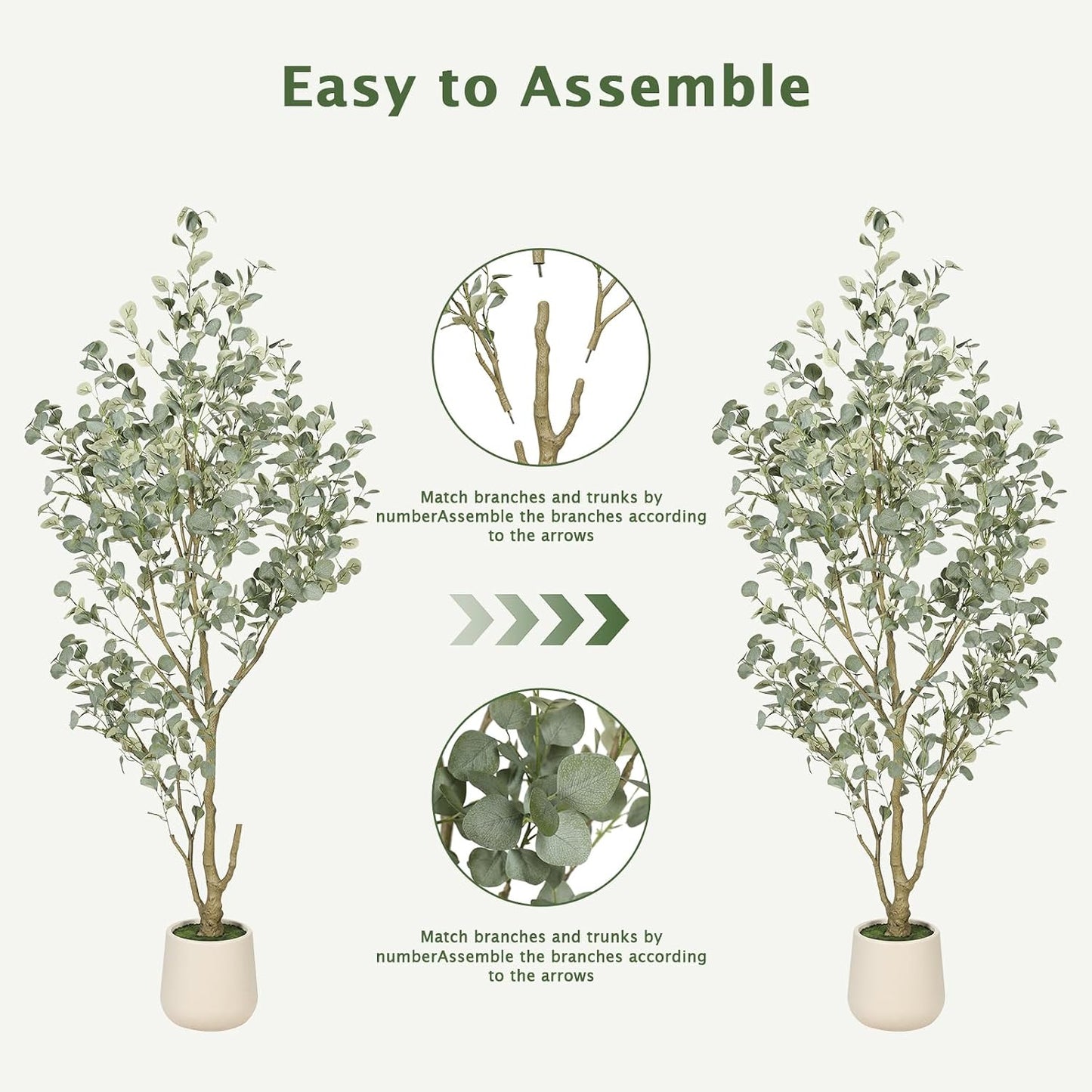 6FT Faux Eucalyptus Tree with White Exquisite Planter | Eucalyptus Trees Artificial Indoor with Silver Dollar Leaves, Natural Trunk - Tall Faux Plants for Home Office Entryway Decor