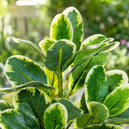 Reptile Plants Artificial Leaves Reptile Tank Decorations | Fake Plants for Reptiles Terrarium for Bearded Dragon Lizard Snake Chameleon Geckos Amphibian Habitat Terrariums Decor