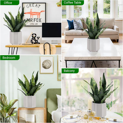 Fake Orchid Plant 19" Tall, Realistic Touch Leaves, Potted Cymbidium Artificial Plants Indoor for Home Decor Small Office Home Living Room-White