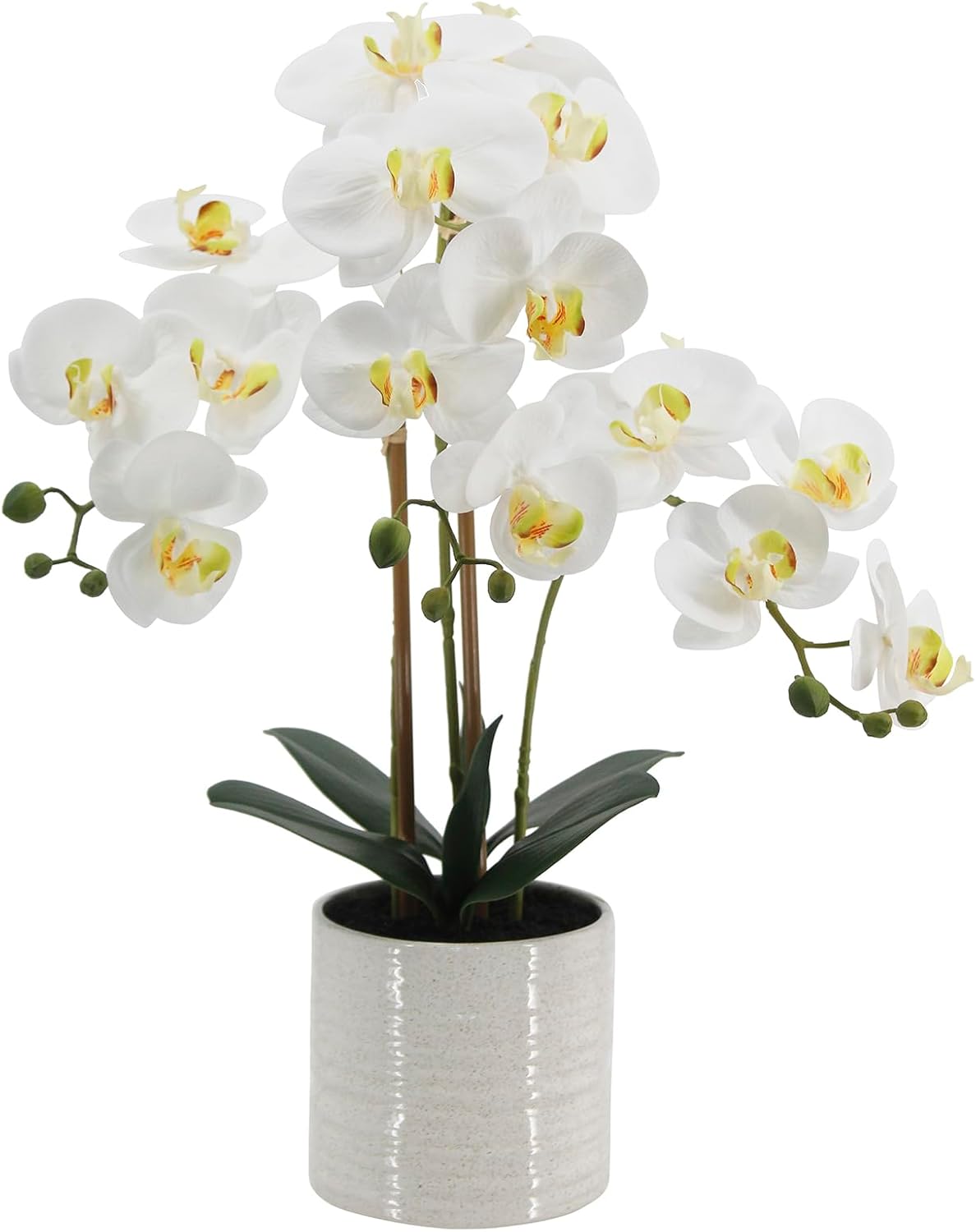 Fake Orchid Plant 19" Tall, Realistic Touch Leaves, Potted Cymbidium Artificial Plants Indoor for Home Decor Small Office Home Living Room-White