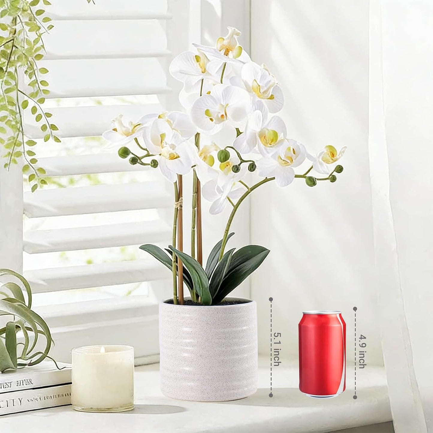 Fake Orchid Plant 19" Tall, Realistic Touch Leaves, Potted Cymbidium Artificial Plants Indoor for Home Decor Small Office Home Living Room-White