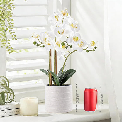 Fake Orchid Plant 19" Tall, Realistic Touch Leaves, Potted Cymbidium Artificial Plants Indoor for Home Decor Small Office Home Living Room-White
