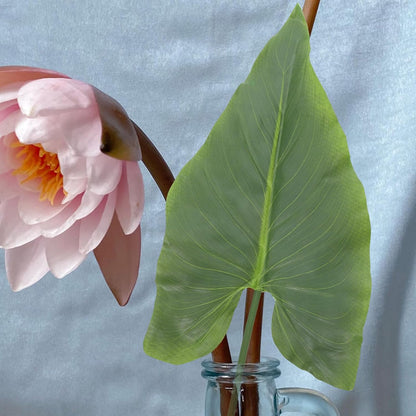 Artificial Plant Leaves Stems 2pcs Medium Calla Lily Faux Greenery Realistic Tropical Leaf Decor for Home Office Wedding Bouquet DIY Arrangement