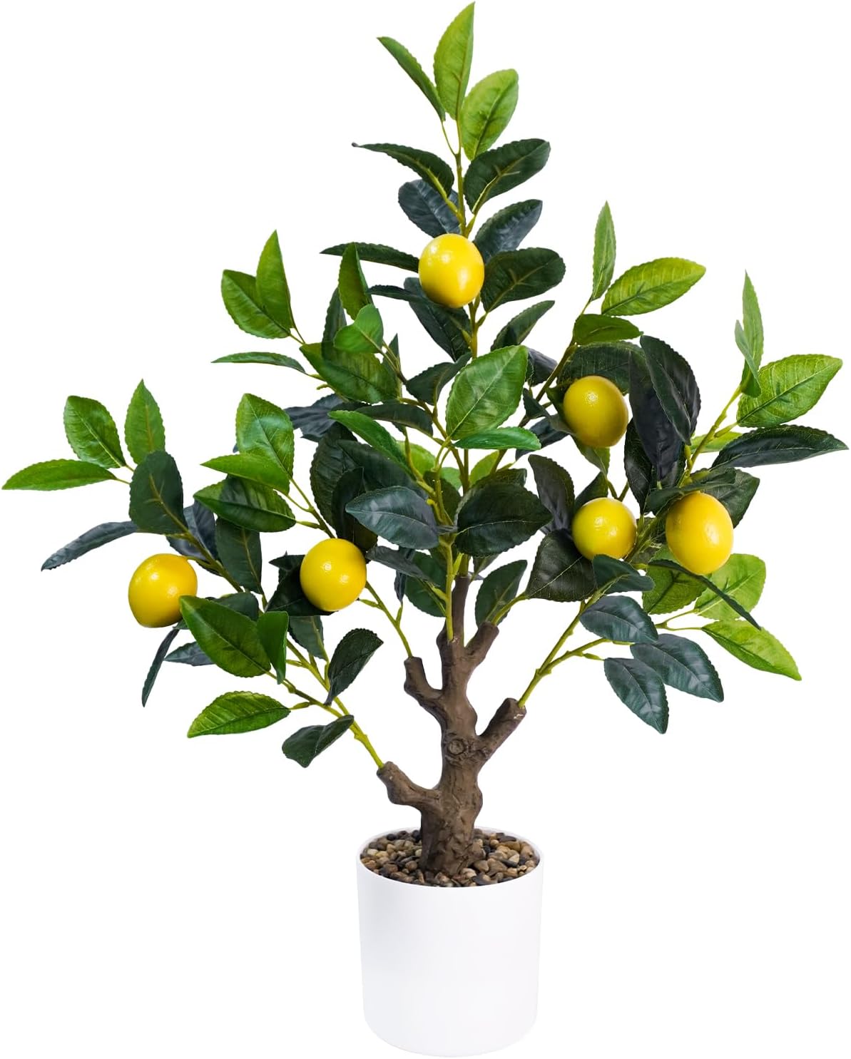 Artificial Fall Eucalyptus Tree 2FT, Faux Potted Tree Indoor | Realistic Small Artificial Fall Eucalyptus Tree for Tabletop, Desk, Shelf & Home Decor