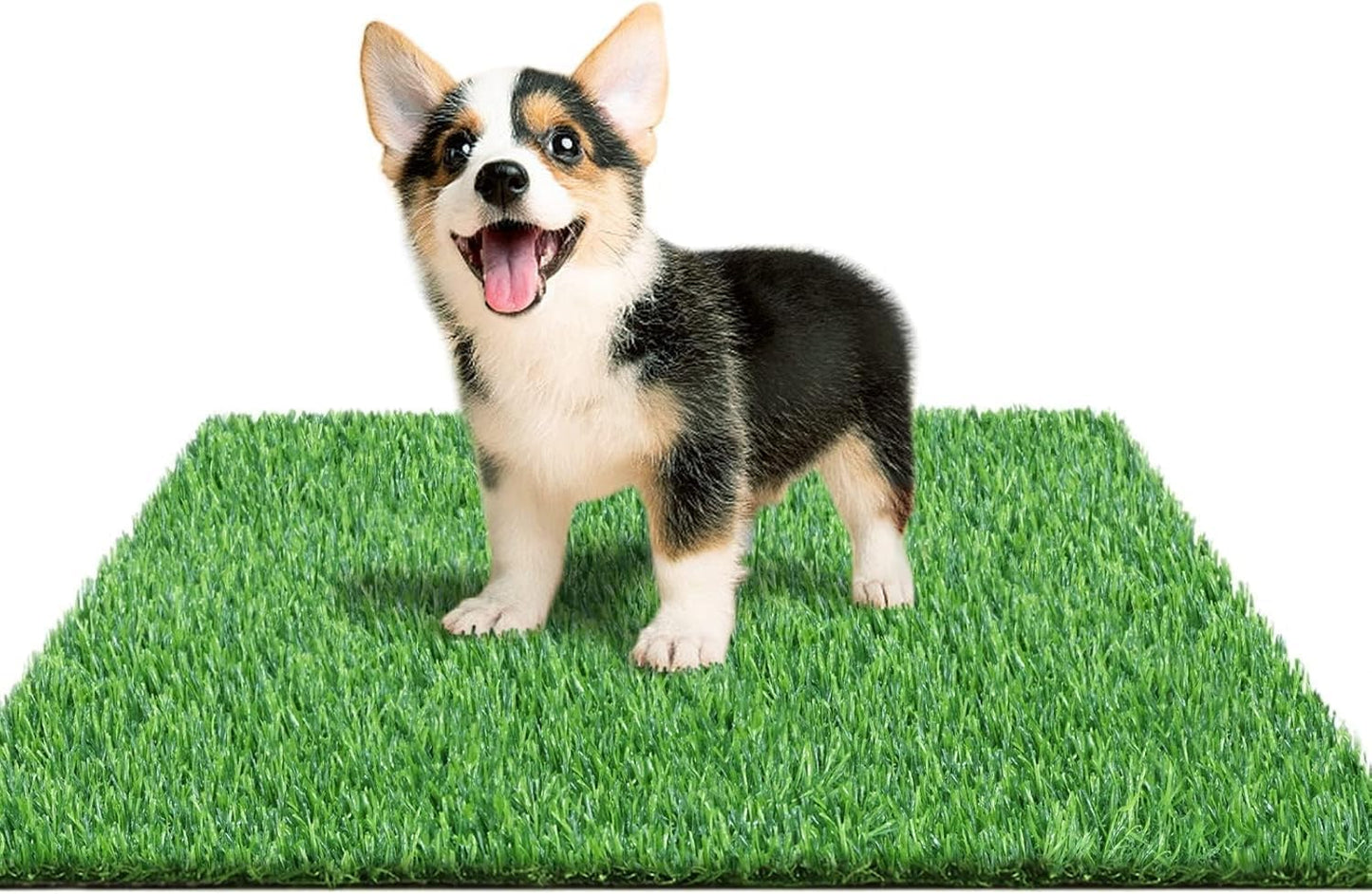 30 x 20 inches 2 Pack Fake Grass Pee for Dogs Artificial Grass Rug Pad for Puppy Potty Washable Grass Mat for Pet Training with Drainage Hole