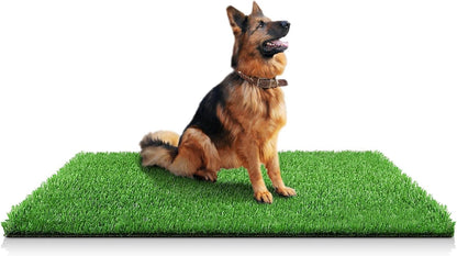 30 x 20 inches 2 Pack Fake Grass Pee for Dogs Artificial Grass Rug Pad for Puppy Potty Washable Grass Mat for Pet Training with Drainage Hole