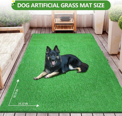 30 x 20 inches 2 Pack Fake Grass Pee for Dogs Artificial Grass Rug Pad for Puppy Potty Washable Grass Mat for Pet Training with Drainage Hole