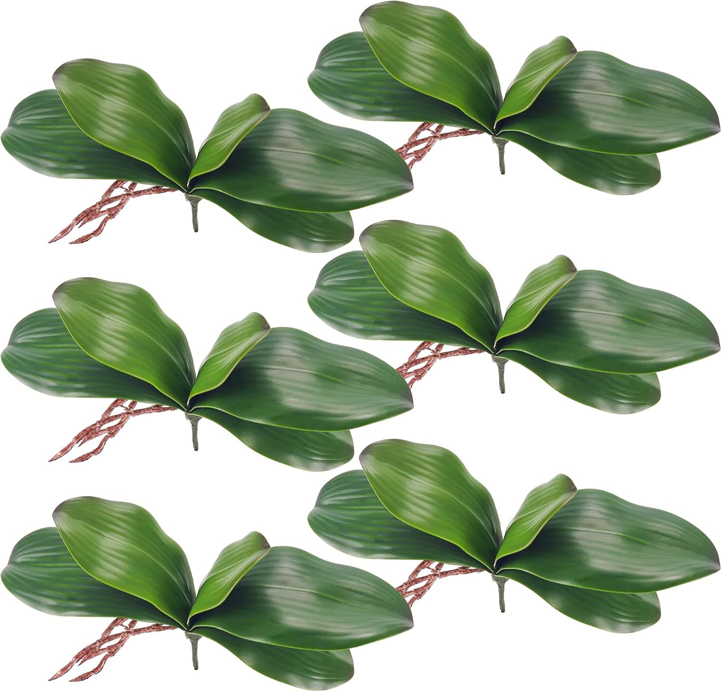 3Pcs Faux Orchid Leaves Only, Greenery Stems for DIY Arrangements | Compact broad foliage refreshes one small planter and balances tall flower stems for desk, bathroom, shelf and table decor