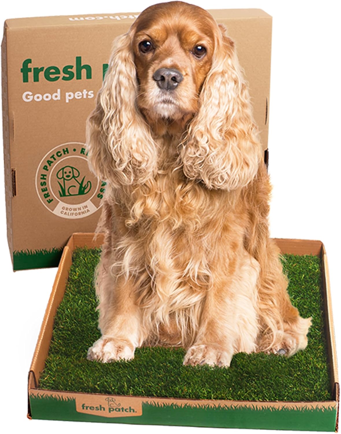 Real Grass Patch for Dogs, Cats, and Small-Medium Pets Under 15 Pounds – Disposable Pet Grass Pee Pads – Indoor and Outdoor Potty Training Mat (16 Inches x 24 Inches)