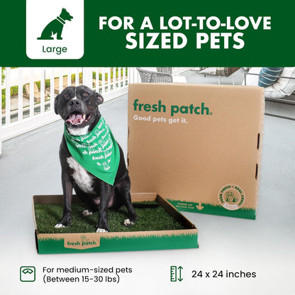Real Grass Patch for Dogs, Cats, and Small-Medium Pets Under 15 Pounds – Disposable Pet Grass Pee Pads – Indoor and Outdoor Potty Training Mat (16 Inches x 24 Inches)