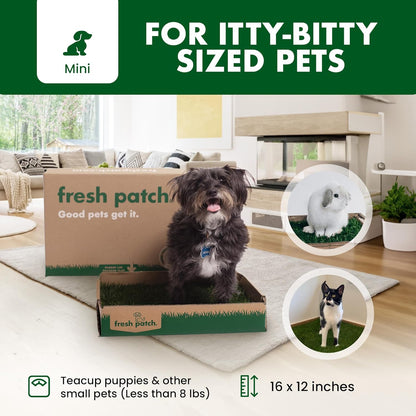 Real Grass Patch for Dogs, Cats, and Small-Medium Pets Under 15 Pounds – Disposable Pet Grass Pee Pads – Indoor and Outdoor Potty Training Mat (16 Inches x 24 Inches)