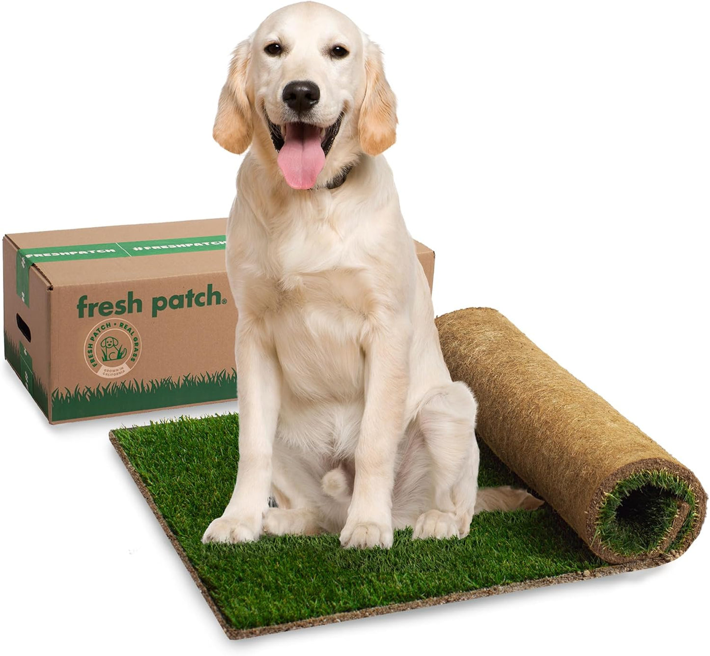 Real Grass Patch for Dogs, Cats, and Small-Medium Pets Under 15 Pounds – Disposable Pet Grass Pee Pads – Indoor and Outdoor Potty Training Mat (16 Inches x 24 Inches)