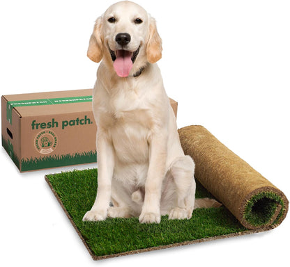 Real Grass Patch for Dogs, Cats, and Small-Medium Pets Under 15 Pounds – Disposable Pet Grass Pee Pads – Indoor and Outdoor Potty Training Mat (16 Inches x 24 Inches)