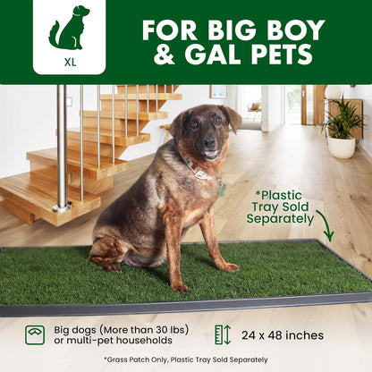 Real Grass Patch for Dogs, Cats, and Small-Medium Pets Under 15 Pounds – Disposable Pet Grass Pee Pads – Indoor and Outdoor Potty Training Mat (16 Inches x 24 Inches)