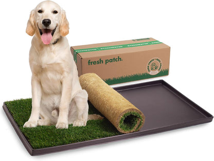 Real Grass Patch for Dogs, Cats, and Small-Medium Pets Under 15 Pounds – Disposable Pet Grass Pee Pads – Indoor and Outdoor Potty Training Mat (16 Inches x 24 Inches)