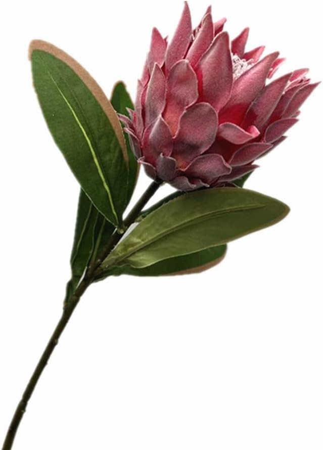 3pcs Artificial Protea Flower Single Stem, 19" Flocked Faux King Protea, Lifelike Long Stem Flowers for Wedding Centerpieces Floral Arrangement, Boho Home Hotel Table Decor (red)